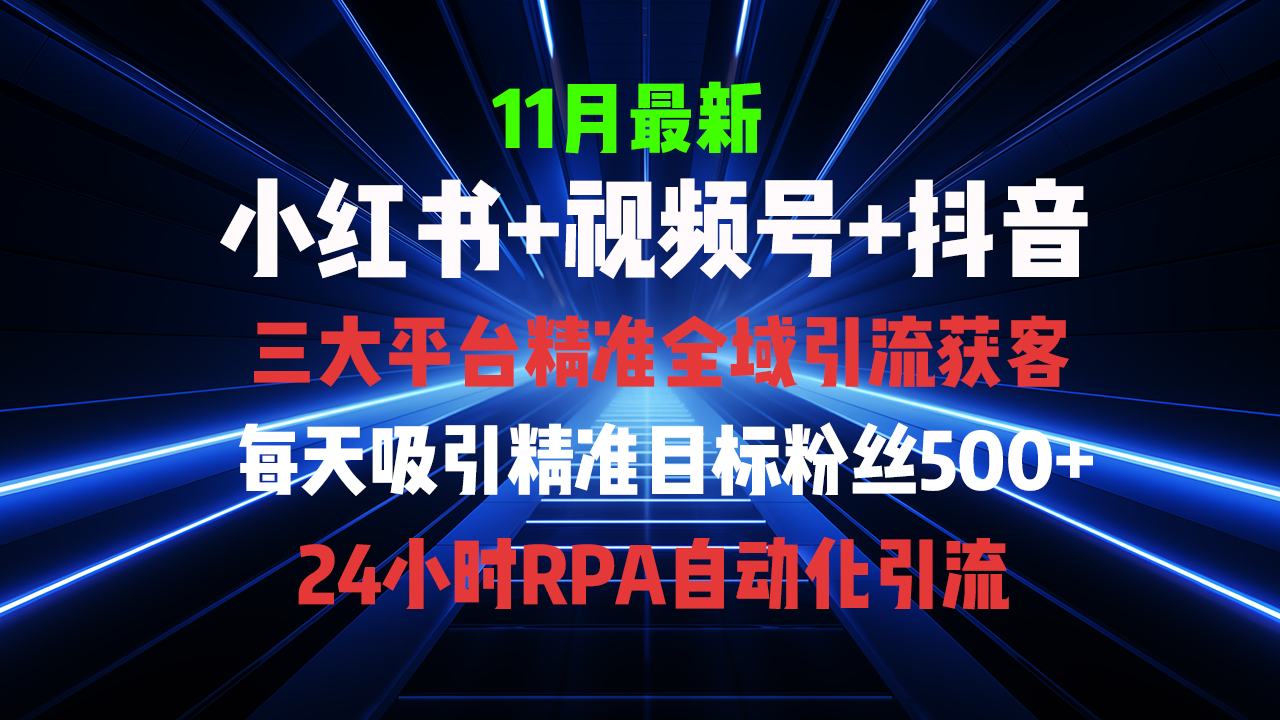 （13259期）全域多平台引流私域打法，小红书，视频号，抖音全自动获客，截流自…_天恒副业网