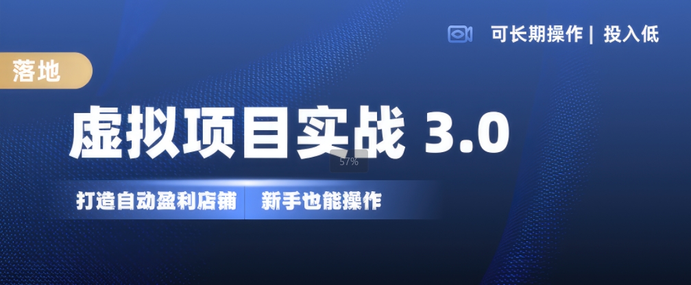 虚拟项目实战3.0,打造自动盈利店铺,可长期操作投入低,新手也能操作_天恒副业网