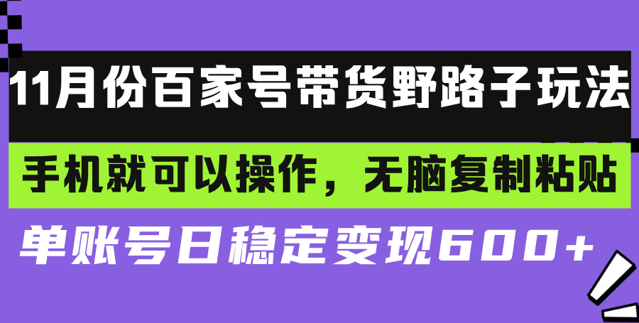 （13281期）百家号带货野路子玩法手机就可以操作，无脑复制粘贴单账号日稳定变现…_天恒副业网