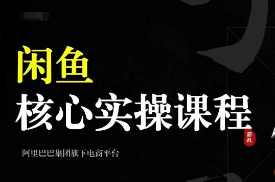 2024闲鱼核心实操课程，从养号、选品、发布、销售，教你做一个出单的闲鱼号_天恒副业网