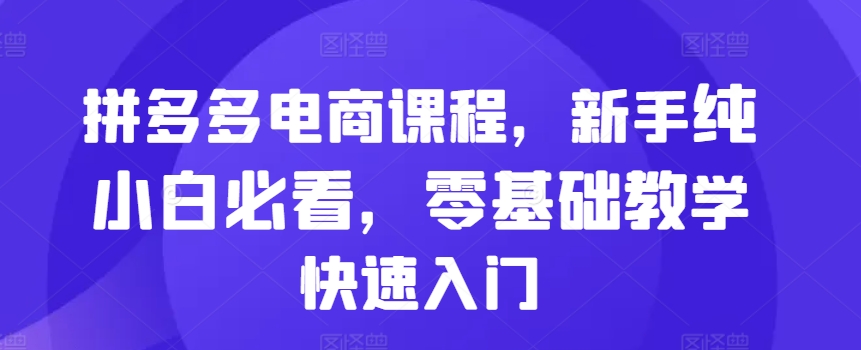 拼多多电商课程，新手纯小白必看，零基础教学快速入门_天恒副业网