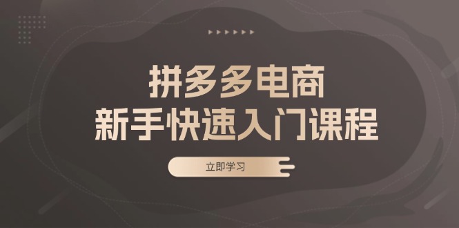 （13289期）拼多多电商新手快速入门课程：涵盖基础、实战与选款，助力小白轻松上手_天恒副业网