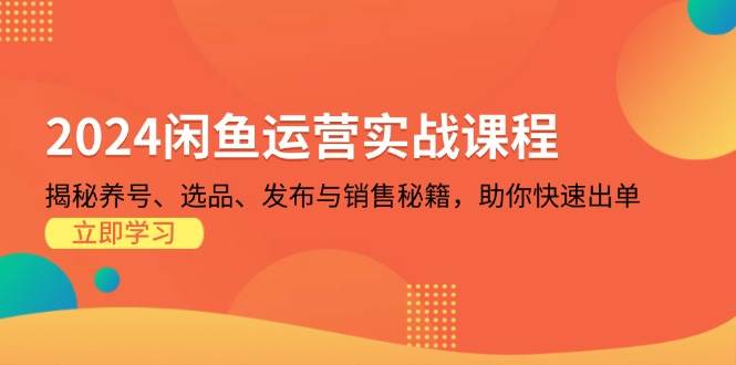 2024闲鱼运营实战课程：揭秘养号、选品、发布与销售秘籍，助你快速出单_天恒副业网