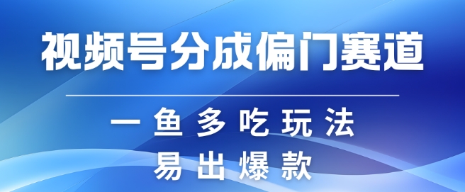 视频号创作者分成计划偏门类目,容易爆流,实拍内容简单易做_天恒副业网