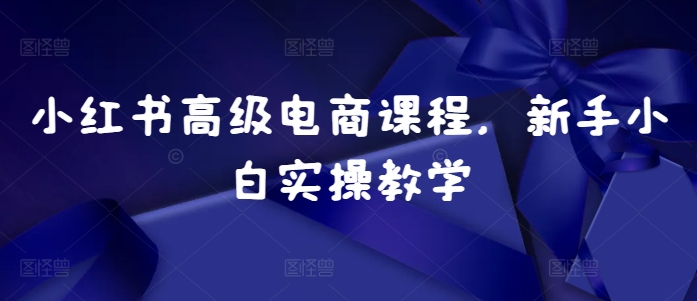 小红书高级电商课程，新手小白实操教学_天恒副业网