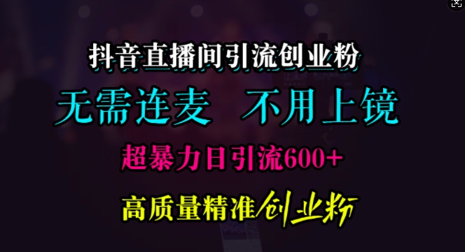 抖音直播间引流创业粉，无需连麦、无需上镜，超暴力日引流600+高质量精准创业粉_天恒副业网