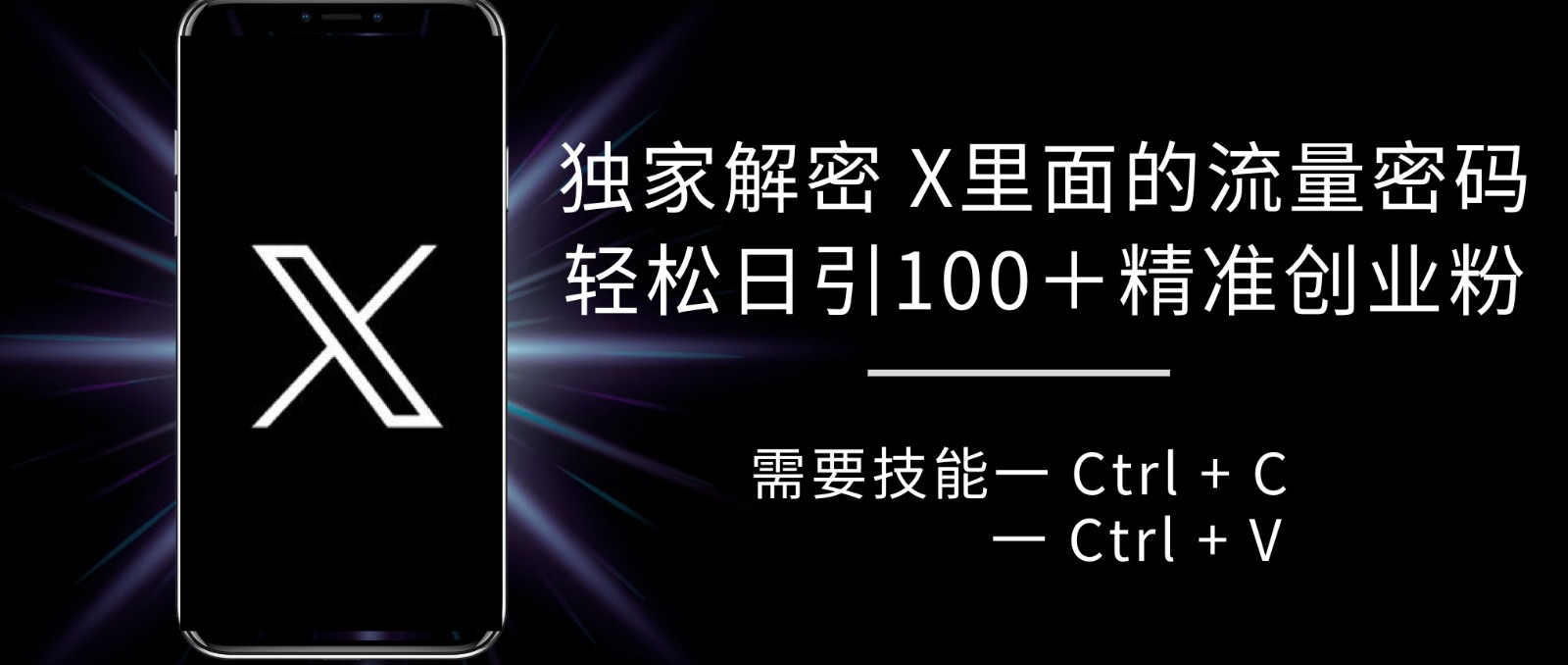 独家解密X里面的流量密码，复制粘贴轻松日引100+粉，精准迅速获客_天恒副业网