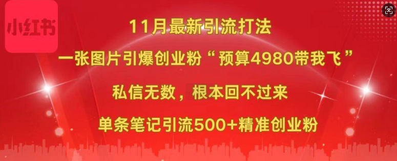 小红书11月最新图片打粉，一张图片引爆创业粉，“预算4980带我飞”，单条引流500+精准创业粉_天恒副业网