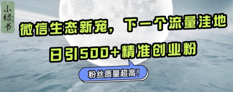 微信生态新宠小绿书：下一个流量洼地，日引500+精准创业粉，粉丝质量超高_天恒副业网