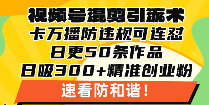 （13400期）视频号混剪引流技术，500万播放引流17000创业粉，操作简单当天学会_天恒副业网