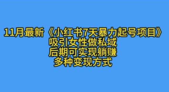 K总部落11月最新小红书7天暴力起号项目，吸引女性做私域_天恒副业网