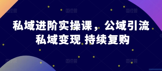 私域进阶实操课，公域引流私域变现持续复购_天恒副业网