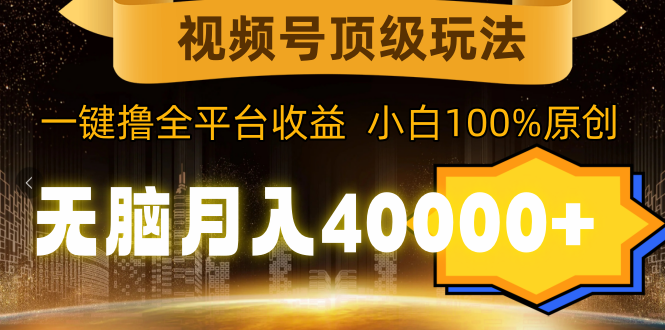 视频号顶级玩法，无脑月入40000+，一键撸全平台收益，纯小白也能100%原创_天恒副业网