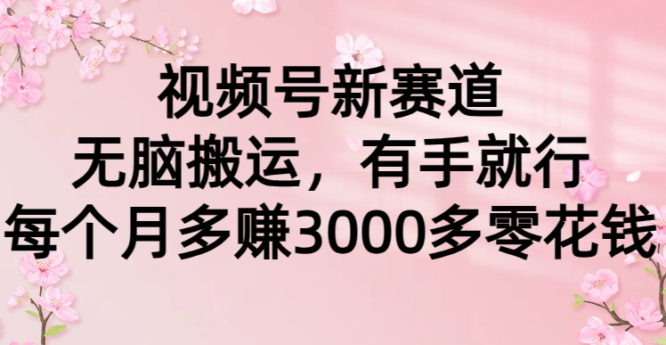 视频号新赛道，无脑搬运，有手就行，每个月多赚3000多零花钱_天恒副业网