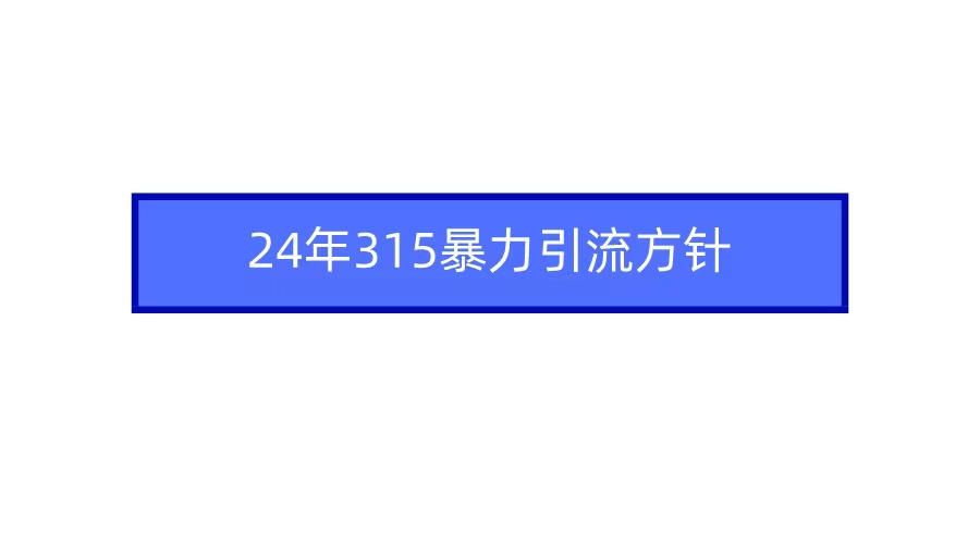 2024年315暴力引流方针_天恒副业网