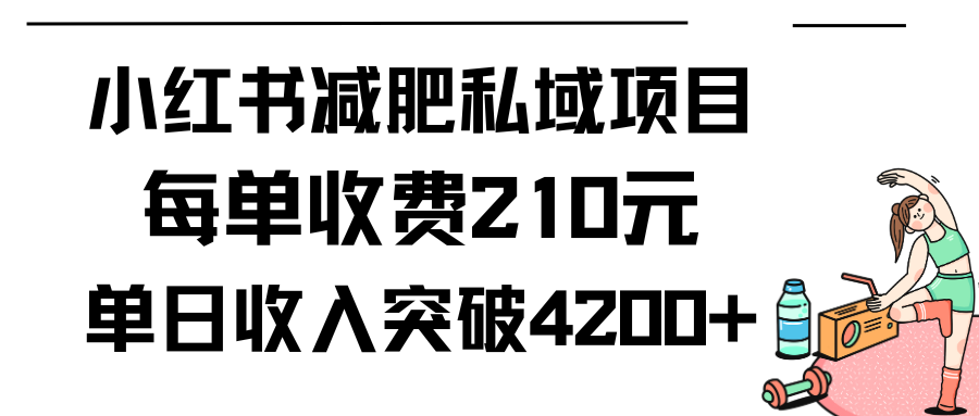 小红书减肥私域项目每单收费210元单日成交20单，最高日入4200+_天恒副业网