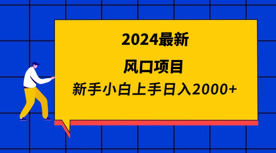 2024最新风口项目 新手小白日入2000+_天恒副业网