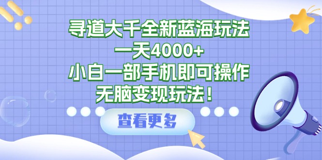 寻道大千全新蓝海玩法，一天4000+，小白一部手机即可操作_天恒副业网