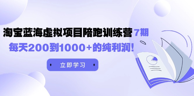 黄岛主《淘宝蓝海虚拟项目陪跑训练营7期》每天200到1000+的纯利润_天恒副业网