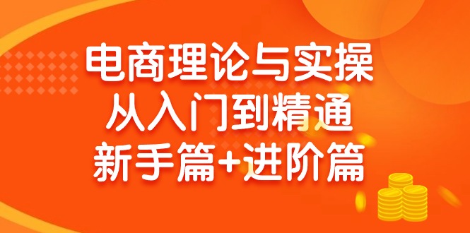 电商理论与实操从入门到精通：抖店+淘系+多多，新手篇+进阶篇_天恒副业网