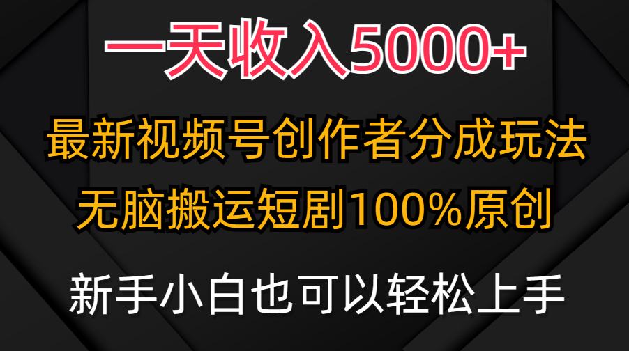 一天收入5000+，视频号创作者分成计划，最新100%原创玩法_天恒副业网