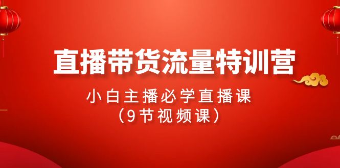 2024直播带货流量特训营，小白主播必学直播课（9节视频课）_天恒副业网