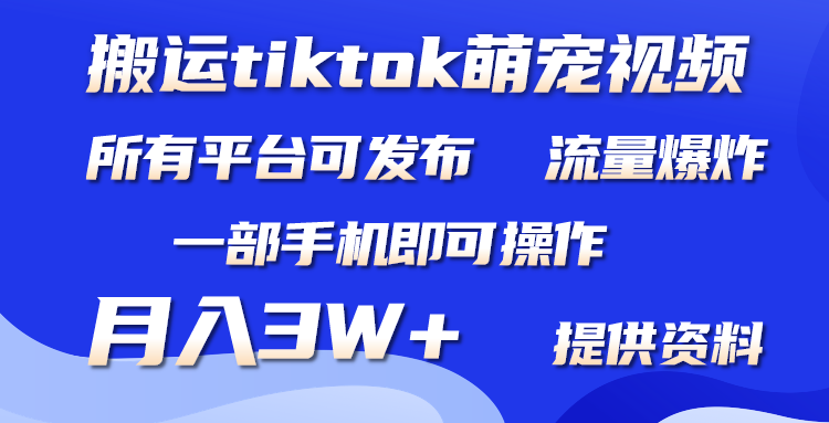 搬运Tiktok萌宠类视频，一部手机即可。所有短视频平台均可操作，月入3W+_天恒副业网