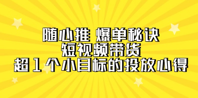 随心推 爆单秘诀，短视频带货-超1个小目标的投放心得（7节视频课）_天恒副业网