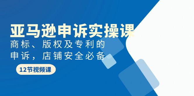 亚马逊-申诉实战课，商标、版权及专利的申诉，店铺安全必备_天恒副业网