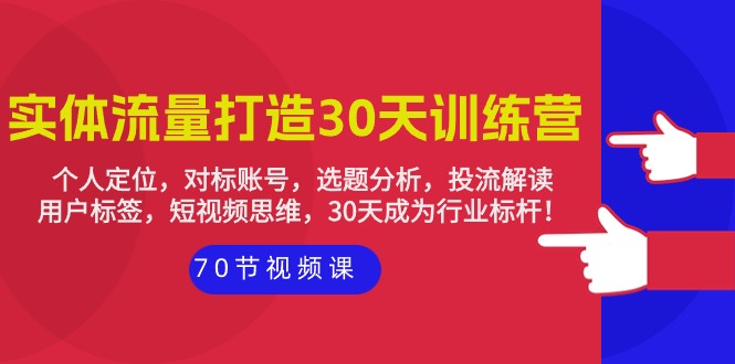 实体-流量打造-30天训练营：个人定位，对标账号，选题分析，投流解读-70节_天恒副业网