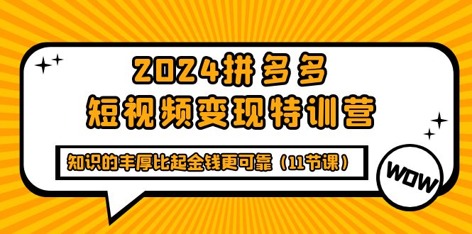 2024拼多多短视频变现特训营，知识的丰厚比起金钱更可靠_天恒副业网