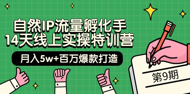 自然IP流量孵化手 14天线上实操特训营【第9期】月入5w+百万爆款打造_天恒副业网