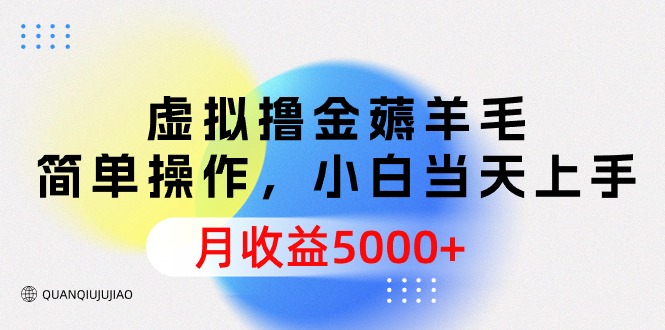 虚拟撸金薅羊毛，简单操作，小白当天上手，月收益5000+_天恒副业网