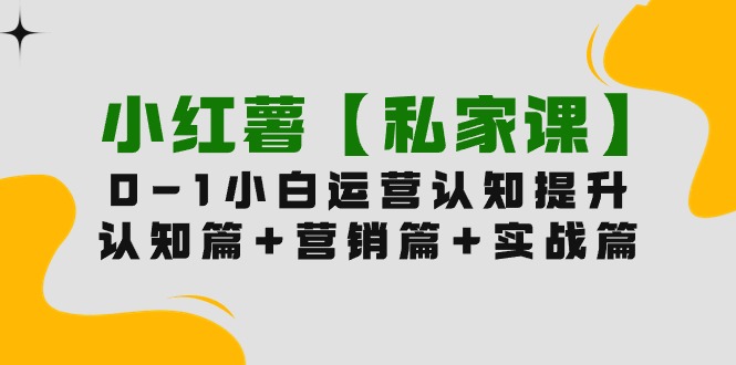 小红薯【私家课】0-1玩赚小红书内容营销，认知篇+营销篇+实战篇（11节课）_天恒副业网