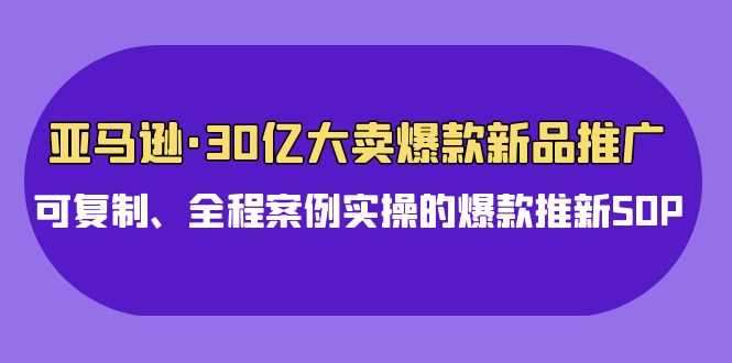 亚马逊30亿·大卖爆款新品推广，可复制、全程案例实操的爆款推新SOP_天恒副业网