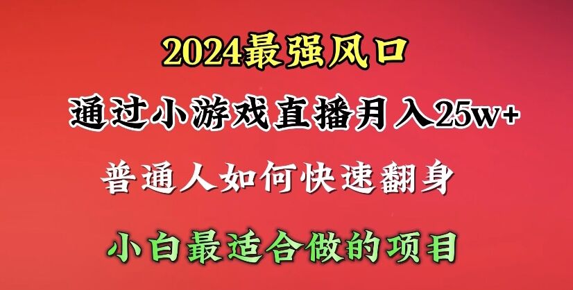 通过小游戏直播月入25w+单日收益5000+小白最适合做的项目_天恒副业网