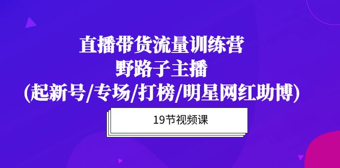 直播带货流量特训营，野路子主播(起新号/专场/打榜/明星网红助博)19节课_天恒副业网