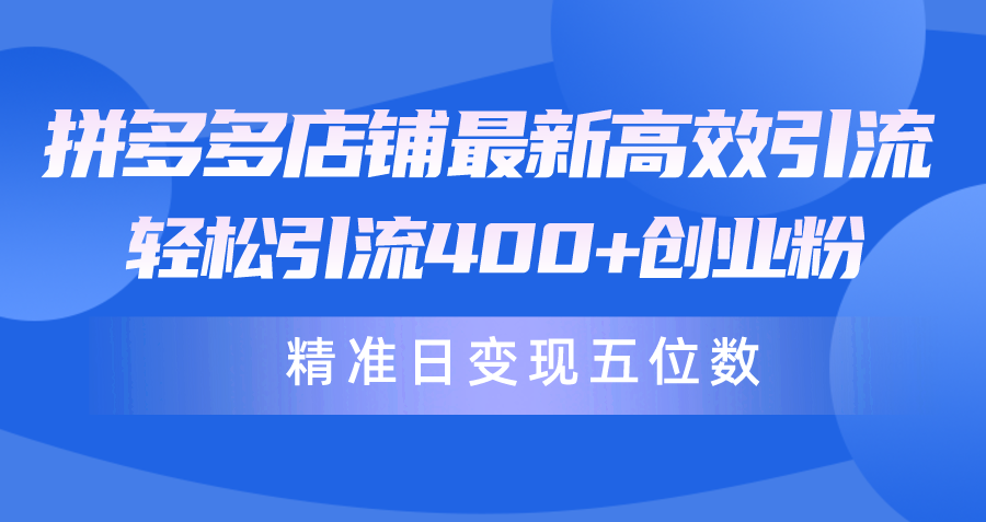 拼多多店铺最新高效引流术，轻松引流400+创业粉，精准日变现五位数！_天恒副业网