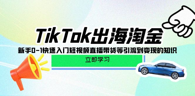 TikTok-出海淘金，新手0-1快速入门短视频直播带货等引流到变现的知识_天恒副业网