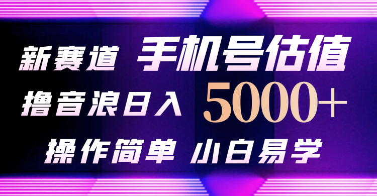 抖音不出境直播【手机号估值】最新撸音浪，日入5000+_天恒副业网