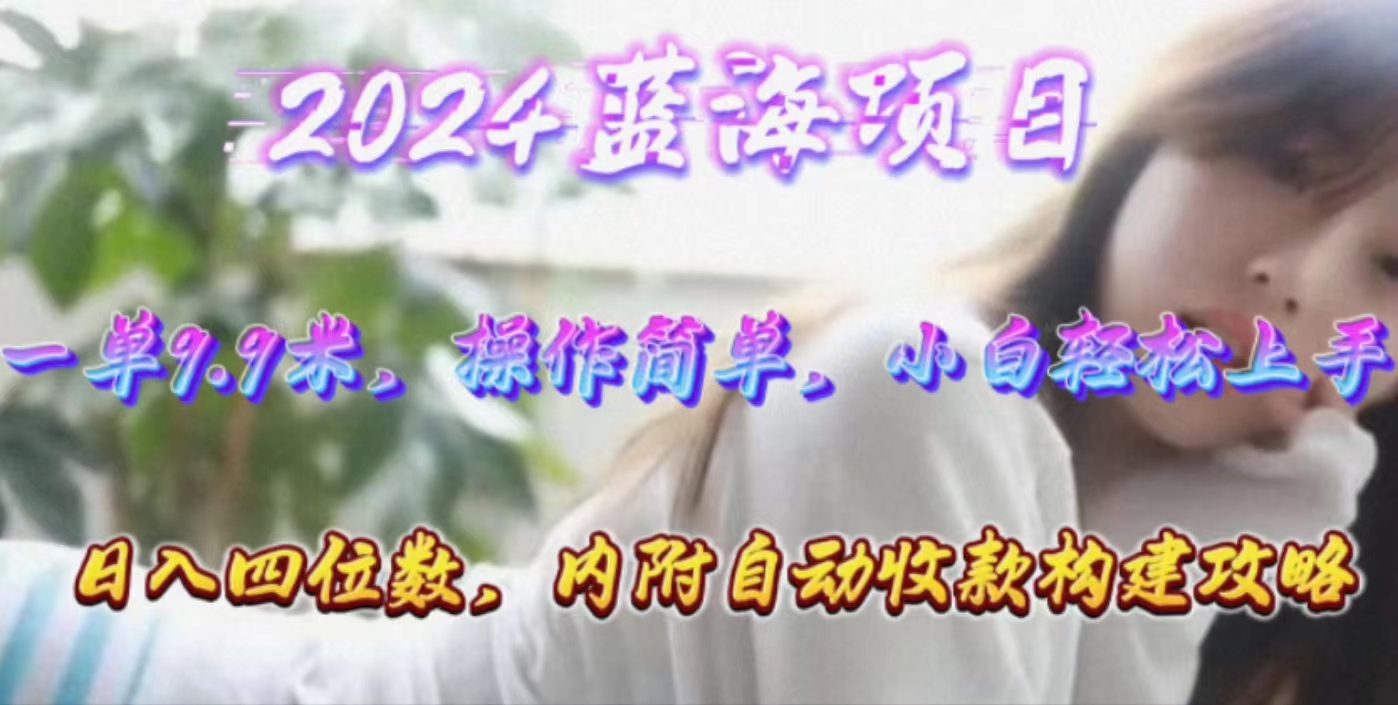 年轻群体的蓝海市场，1单9.9元，操作简单，小白轻松上手，日入四位数_天恒副业网