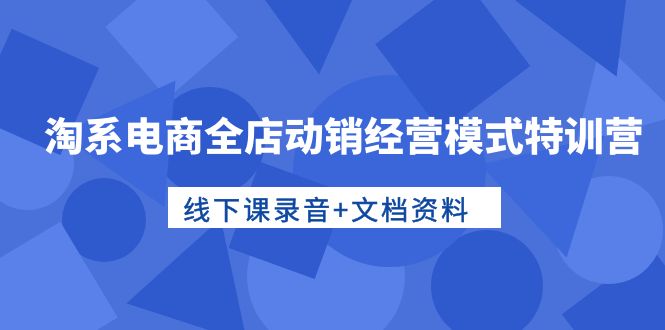 淘系电商全店动销经营模式特训营，线下课录音+文档资料_天恒副业网