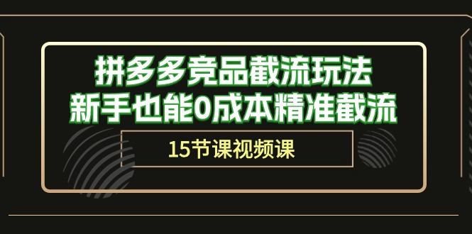 拼多多竞品截流玩法，新手也能0成本精准截流（15节课）_天恒副业网