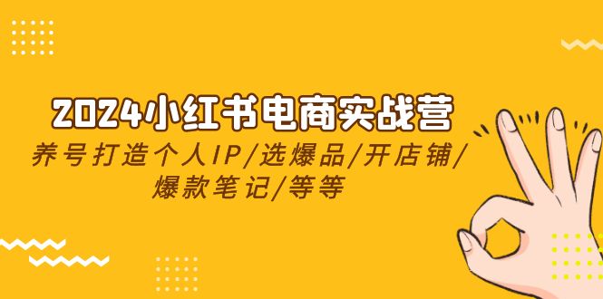 2024小红书电商实战营，养号打造IP/选爆品/开店铺/爆款笔记/等等（24节）_天恒副业网