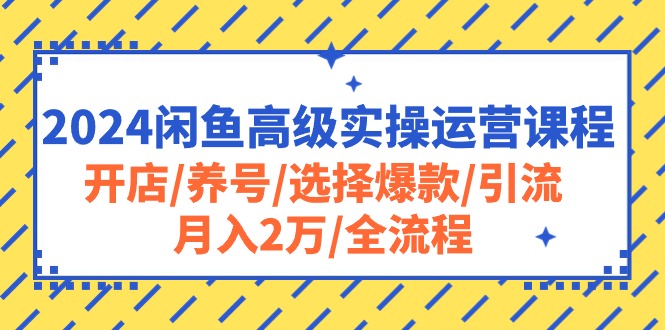 2024闲鱼高级实操运营课程：开店/养号/选择爆款/引流/月入2万/全流程_天恒副业网