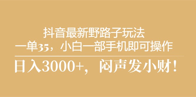 抖音最新野路子玩法，一单35，小白一部手机即可操作_天恒副业网