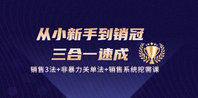 从小新手到销冠 三合一速成：销售3法+非暴力关单法+销售系统挖需课_天恒副业网