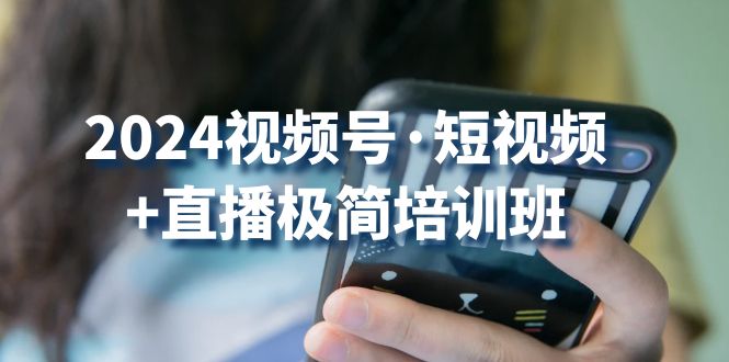 2024视频号·短视频+直播极简培训班：抓住视频号风口，流量红利_天恒副业网