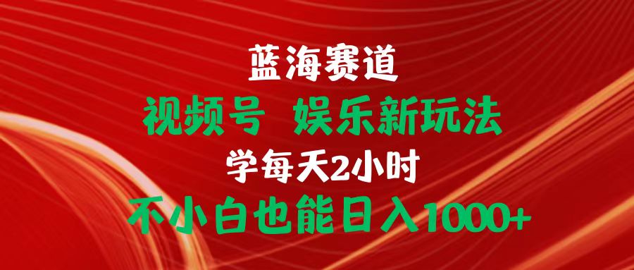 蓝海赛道视频号 娱乐新玩法每天2小时小白也能日入1000+_天恒副业网