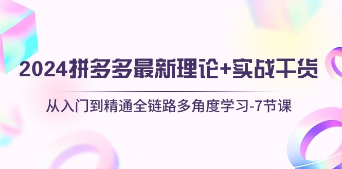 2024拼多多 最新理论+实战干货，从入门到精通全链路多角度学习-7节课_天恒副业网